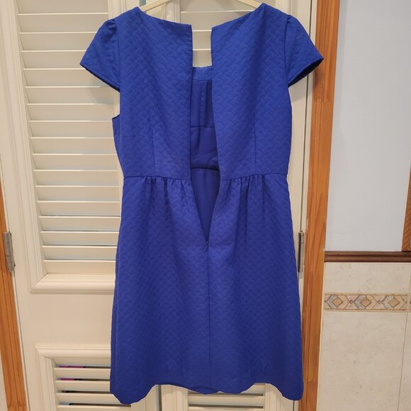 HD in Paris by Anthropology Sapphire Blue Empire Waist Dress - Picture 12 of 15